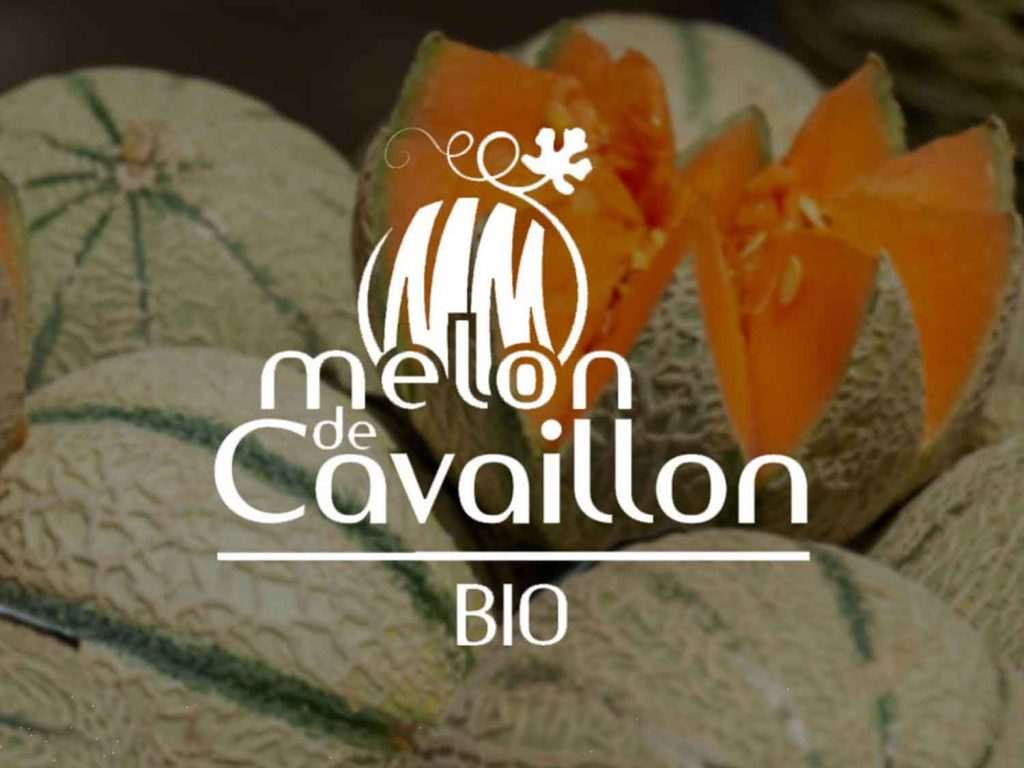Vidéo Présentation Melon de Cavaillon